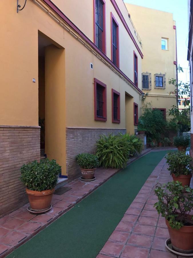 Clb Alameda Siviglia